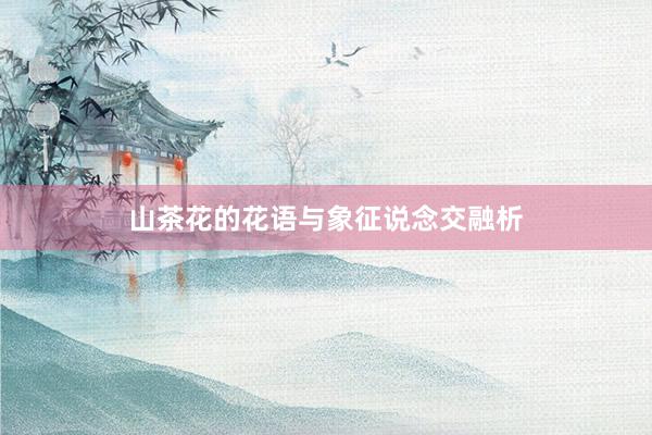 山茶花的花语与象征说念交融析